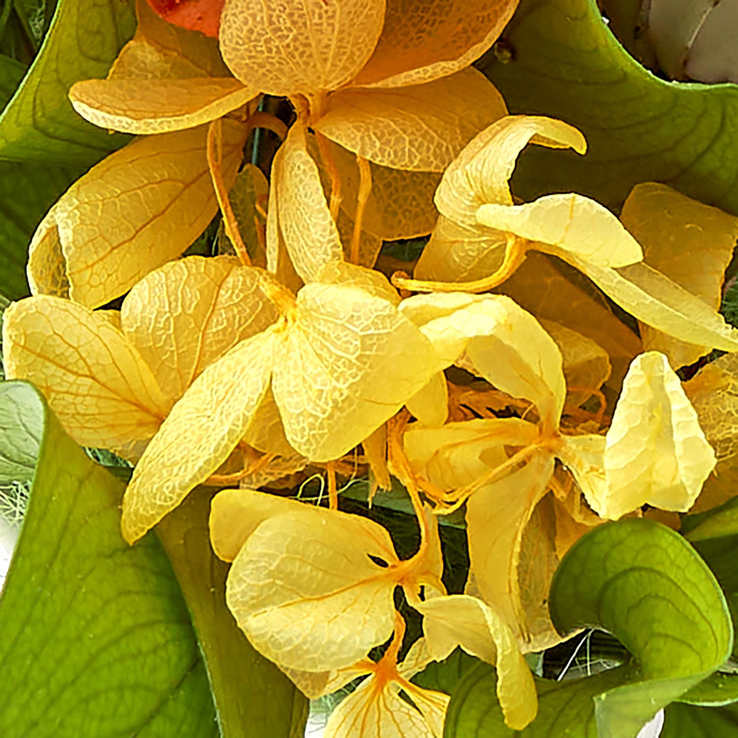 日比谷花壇 プリザーブドフラワーお供え用仏花