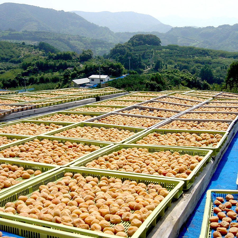 粒よりみかんはちみつ入梅干12粒(270g)